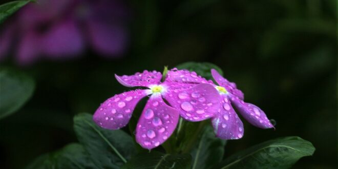 একঝলক (২৮ জুলাই ২০২৬)