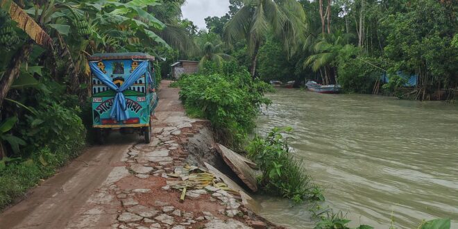 পাঠকের ছবি (২৮ জুলাই ২০২৬)