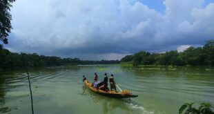 পাঠকের ছবি (২৩ জুলাই ২০২৬)