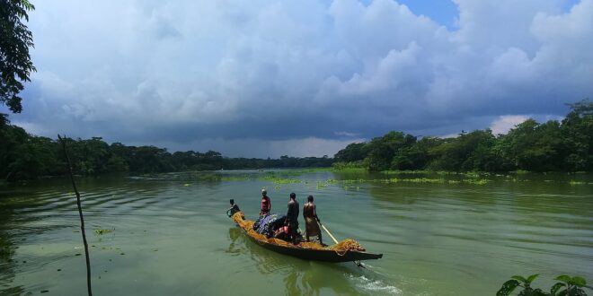 পাঠকের ছবি (২৩ জুলাই ২০২৬)