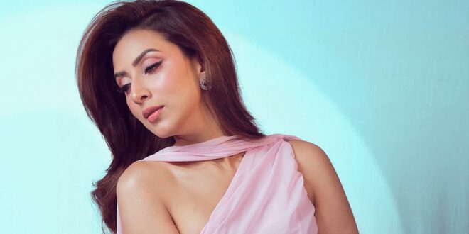 বলিউডের কাজের অফার কেন ছেড়েছিলেন বিদ্যা সিনহা মিম?