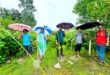 চারা রোপণ করলেই হবে না, বাঁচিয়ে রাখার দায়িত্বও নিতে হবে