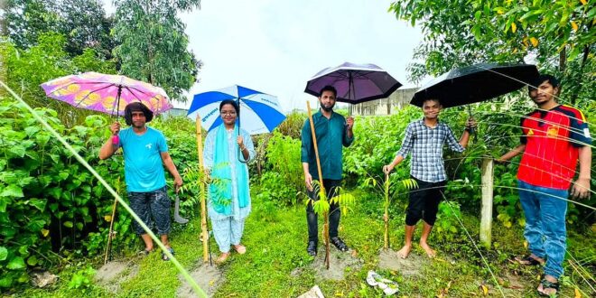চারা রোপণ করলেই হবে না, বাঁচিয়ে রাখার দায়িত্বও নিতে হবে