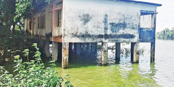 এক শিক্ষক দিয়ে চলছে স্কুল, এক ক্লাসের সময় অপেক্ষায় অন্য ক্লাস