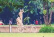 জুলাই জাদুঘর উদ্বোধন ৫ আগস্ট, জনবল নিয়োগ হয়নি এখনো