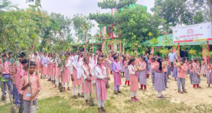 বৃক্ষে গড়ি আগামী