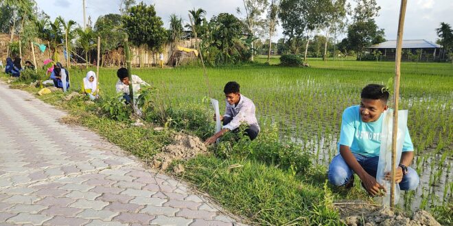 গাছ বড় হলে পথচারীরা ছায়ায় চলাচল করতে পারবে