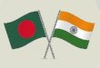 অ্যান্টি–ডাম্পিং শুল্ক বসাতে ভারতের তদন্তের মুখে বাংলাদেশ, যোগ হলো আরেক পণ্য