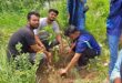 সাভার বন্ধুসভার বৃক্ষরোপণ কর্মসূচি