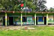 জামালপুরে প্রধান শিক্ষক ছাড়াই চলছে ৫৪০টি প্রাথমিক বিদ্যালয়, পাঠদান ব্যাহত