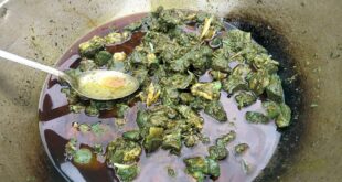 খুলনার সবুজ গরুর মাংস: বিষ, ব্যাকটেরিয়া নাকি রান্নাঘরের রসায়ন