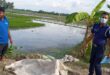 পুকুরে ভাসছিল বস্তা, খুলতেই মিলল নারীর অর্ধগলিত মরদেহ