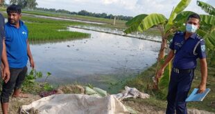 পুকুরে ভাসছিল বস্তা, খুলতেই মিলল নারীর অর্ধগলিত মরদেহ