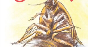 দ্য মেটামরফোসিস