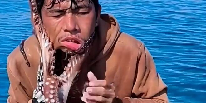 মুখ আঁকড়ে ধরা অক্টোপাসের সঙ্গে জেলের লড়াই