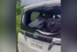 গোলাপগঞ্জে এনসিপির গাড়িবহরের হামলা, ভেঙেছে কাচ