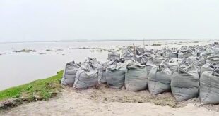 জিও ব্যাগে বন্ধ হলো নদীভাঙন, রক্ষা পেল তিন শতাধিক পরিবার ও শিক্ষাপ্রতিষ্ঠান