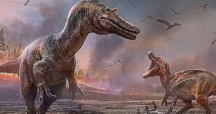 পৃথিবী থেকে ডাইনোসর বিলুপ্ত হয়েছিল যেভাবে