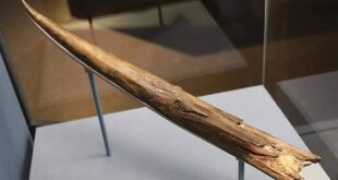 বিশ্বের সবচেয়ে প্রাচীন অস্ত্র কোনটি