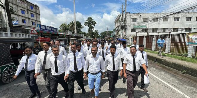 শিক্ষানবিশ আইনজীবীর দিকে পেপারওয়েট ছোড়া: গোপালগঞ্জে বিচারককে প্রত্যাহারের দাবি