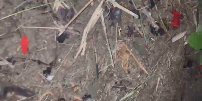 সেই বিলাসপুরে আবারও ককটেল বিস্ফোরণ, উড়ে গেল সেপটিক ট্যাংকের অংশ