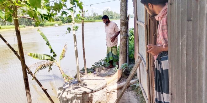 বগুড়ায় বাঙালি নদীতে হারিয়ে যাচ্ছে গ্রাম, বসতভিটা হারিয়ে নিঃস্ব অনেক পরিবার