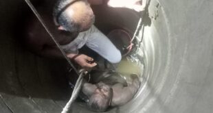 নির্মাণাধীন সুয়ারেজ ট্যাংকের বালু–পানিতে আটকা পড়েন রাজমিস্ত্রি, ১২ ঘণ্টা পর জীবিত উদ্ধার