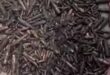নালা থেকে উদ্ধার ১ হাজার ৩২০টি গুলি