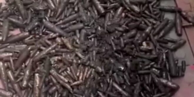 নালা থেকে উদ্ধার ১ হাজার ৩২০টি গুলি