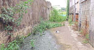 ২১টি সরকারি স্কুলে শিক্ষার্থী ৫০ বা তার কম, শিক্ষার্থী না থাকায় একটি বিলুপ্ত ঘোষণা