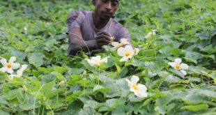 একঝলক (২ আগস্ট ২০২৬)