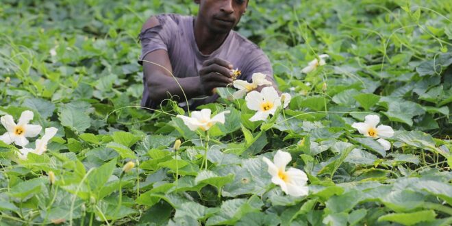 একঝলক (২ আগস্ট ২০২৬)
