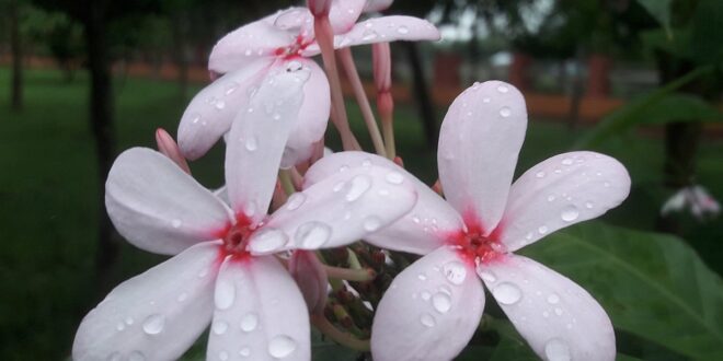 একঝলক (৬ আগস্ট ২০২৬)