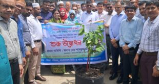 জলবায়ু পরিবর্তন ও পরিবেশ রক্ষায় বিএসএফআইসির সদর দপ্তরে বৃক্ষরোপণ ও সভা অনুষ্ঠিত