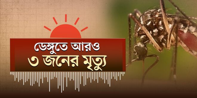 শেখ হাসিনা যেন রাজনৈতিক বক্তব্য দিতে না পারে: ভারতীয় হাইকমিশনারকে হুমায়ুন কবির