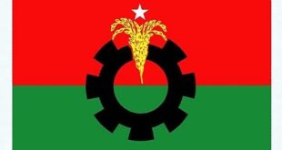 রাষ্ট্রপতি প্রার্থী মনোনয়নের দায়িত্ব দলীয় প্রধানকে দিল বিএনপি