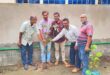 বৈশ্বিক এই উষ্ণায়নের সময়ে বৃক্ষরোপণ অন্যতম সেরা কাজ