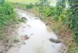 খননযন্ত্রে খাল খনন, তালিকায় দেখানো হলো ১৮০ শ্রমিক