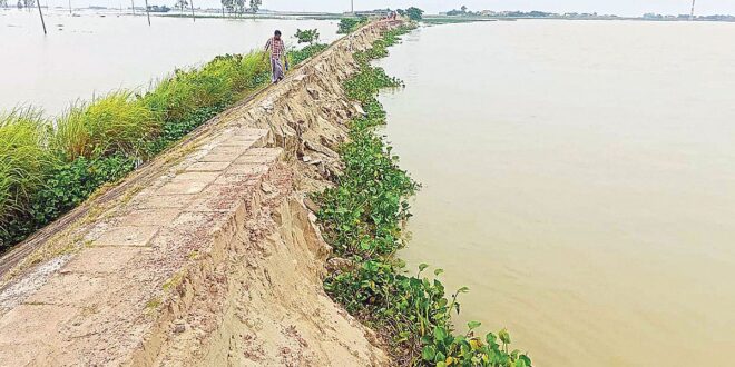 নদীতে বিলীন অলওয়েদার সড়ক রক্ষার দায় কার, এলজিইডির নাকি পাউবোর  