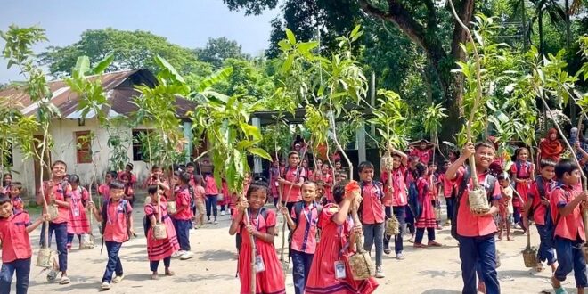 রোপণ করা প্রতিটি গাছের যত্ন নেওয়ার অঙ্গীকার