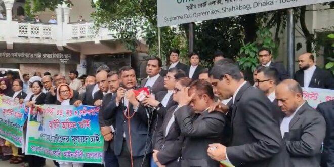 ডিএজি-এএজি হিসেবে নিয়োগ না পাওয়া একদল বিএনপিপন্থী আইনজীবীর বিক্ষোভ