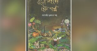 বড়ো শহরের ছোট গল্প—শহরের না বলা গল্প