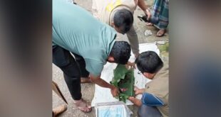 রাঙামাটির বাজারে বিক্রি হচ্ছিল হরিণের মাংস, অভিযানে জব্দ করল বন বিভাগ