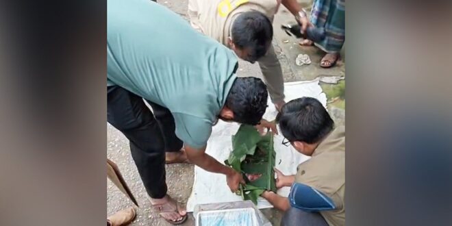 রাঙামাটির বাজারে বিক্রি হচ্ছিল হরিণের মাংস, অভিযানে জব্দ করল বন বিভাগ