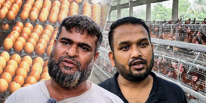 পোল্ট্রির ফিড, ভ্যাকসিন ও ওষুধের দামের ঊর্ধ্বগতির লাগাম টানবে কে?