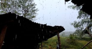 দেশের উত্তরাঞ্চলে বৃষ্টি বাড়তে পারে, দক্ষিণাঞ্চলে ভারী বর্ষণ