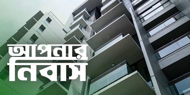 ক্রিডেন্স হাউজিংয়ের 'কার্নেশন': আধুনিক জীবনের সঙ্গে প্রকৃতির মেলবন্ধন
