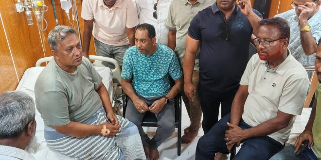 বাড়ির সামনে খোকসার প্রয়াত মেয়রের ছেলে বিএনপি নেতাকে কুপিয়ে ও পিটিয়ে জখম