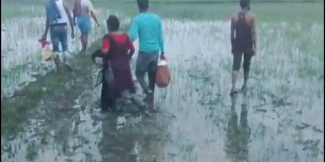 মেহেরপুর সীমান্তে পাঁচজনকে ঠেলে পাঠানোর চেষ্টা বিএসএফের, রুখে দিল বিজিবি