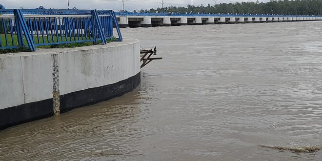 ভারী বৃষ্টিতে তিস্তার পানি বেড়ে বিপৎসীমার ১৩ সেন্টিমিটার ওপরে